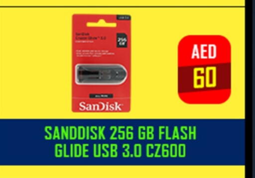 SANDISK Flash Drive available at TechDelas Electronics Trading in UAE - Sharjah / Ajman