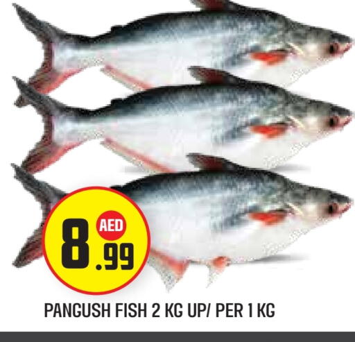 available at Baniyas Spike  in UAE - Abu Dhabi