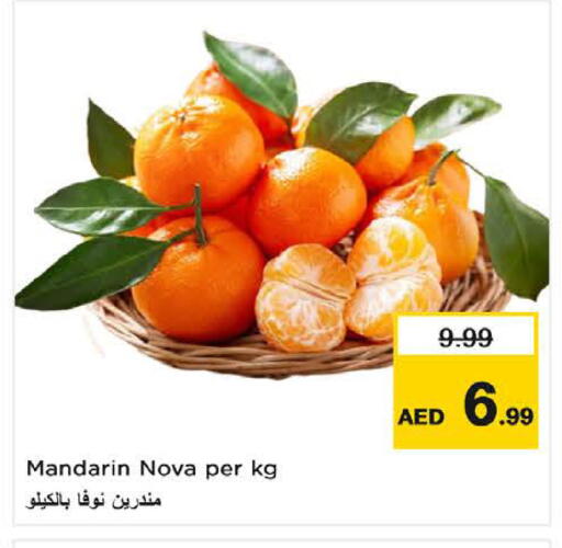 برتقال available at نستو هايبرماركت in الإمارات العربية المتحدة , الامارات - ٱلْفُجَيْرَة‎