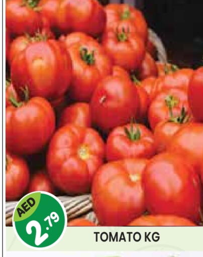 Tomato available at Baniyas Spike  in UAE - Abu Dhabi