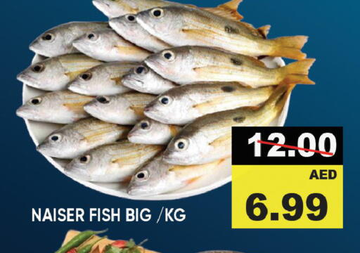 Fresh Fish in Leptis Hypermarket , UAE Offers - United Arab Emirates available at Leptis Hypermarket in UAE - Ras al Khaimah