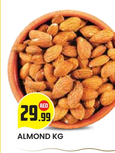 available at سنابل بني ياس in الإمارات العربية المتحدة , الامارات - أبو ظبي