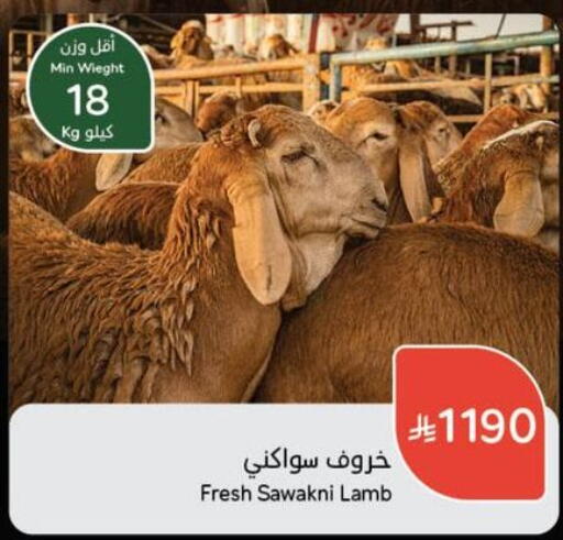 Meat - Fresh & Chilled in Hyper Panda, Saudi Arabia Offers - Saudi Arabia Mutton / Lamb available at Hyper Panda in KSA, Saudi Arabia, Saudi - Hafar Al Batin