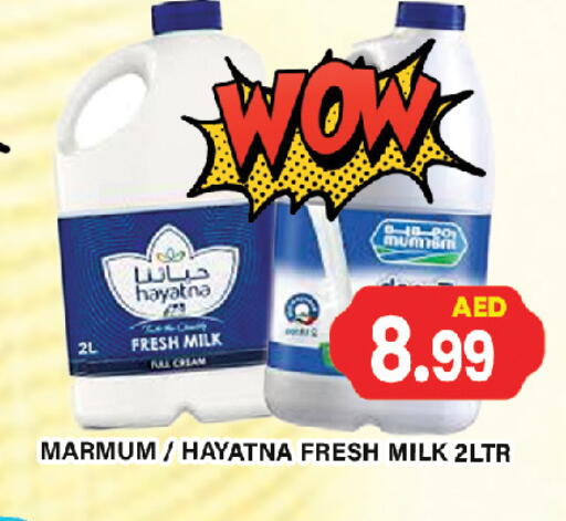 Milk & Laban in Gulf Hypermarket LLC, UAE Offers - United Arab Emirates MARMUM Full Cream Milk available at Gulf Hypermarket LLC in UAE - Ras al Khaimah