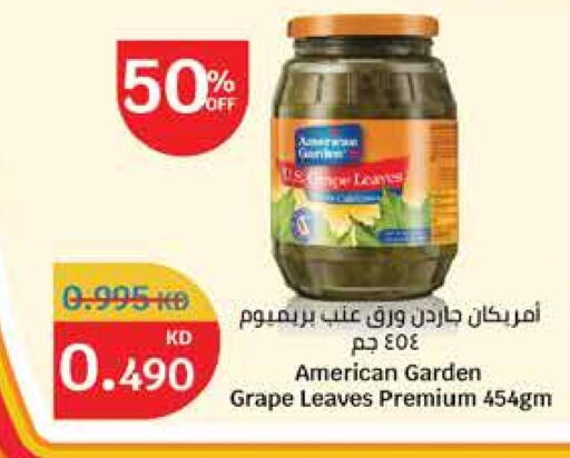 AMERICAN GARDEN available at City Hypermarket in Kuwait - Jahra Governorate