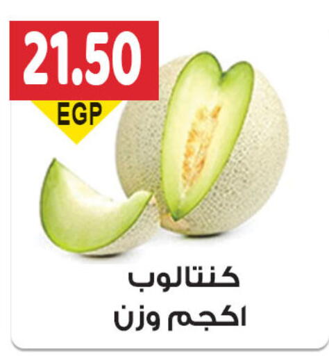 Fresh Vegetables in El Gizawy Market , Egypt Offers - Egypt available at El Gizawy Market in Egypt - Cairo