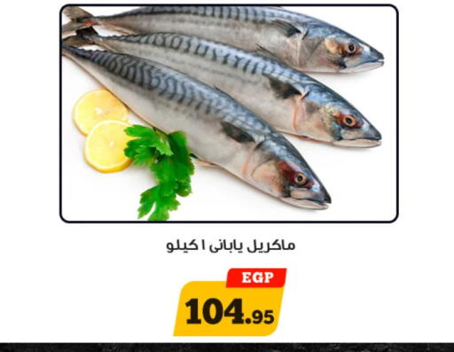 available at أولاد رجب in Egypt - القاهرة