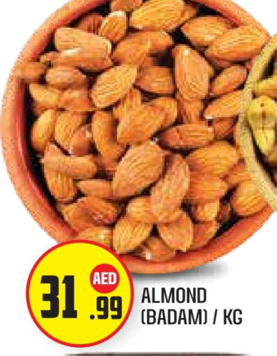 available at سنابل بني ياس in الإمارات العربية المتحدة , الامارات - أبو ظبي