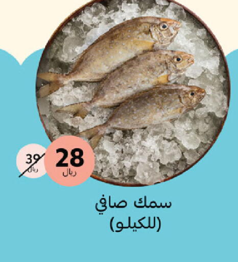 available at Mazaya in KSA, Saudi Arabia, Saudi - Qatif