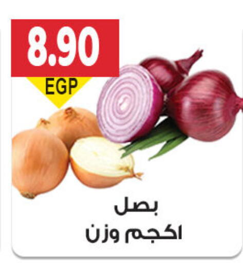 Fresh Vegetables in El Gizawy Market , Egypt Offers - Egypt Onion available at El Gizawy Market in Egypt - Cairo