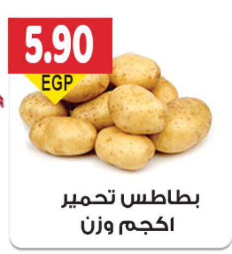 Fresh Vegetables in El Gizawy Market , Egypt Offers - Egypt Potato available at El Gizawy Market in Egypt - Cairo