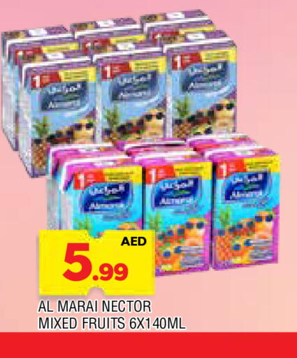 available at المدينة in الإمارات العربية المتحدة , الامارات - الشارقة / عجمان