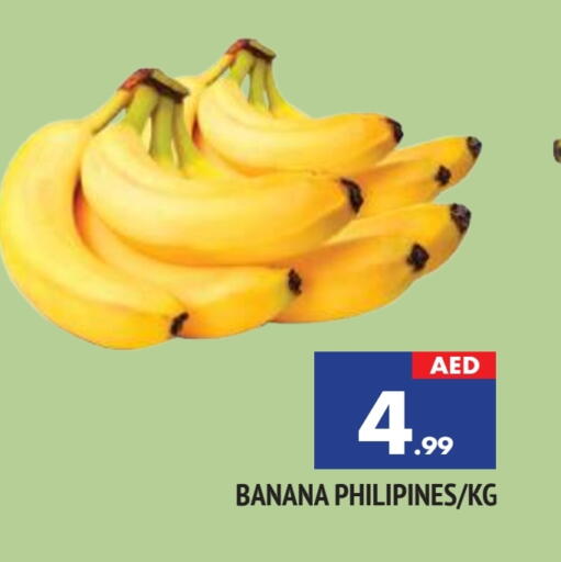 موز available at المدينة in الإمارات العربية المتحدة , الامارات - الشارقة / عجمان