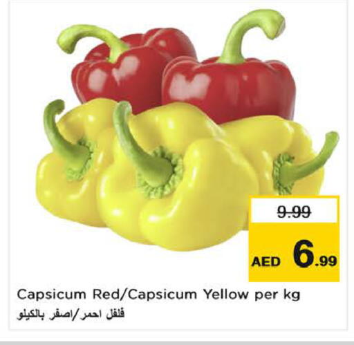 Chilli / Capsicum available at Nesto Hypermarket in UAE - Al Ain