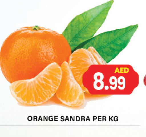 Fresh Fruits in Gulf Hypermarket LLC, UAE Offers - United Arab Emirates Orange available at Gulf Hypermarket LLC in UAE - Ras al Khaimah