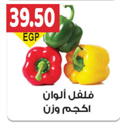 Fresh Vegetables in El Gizawy Market , Egypt Offers - Egypt Chilli / Capsicum available at El Gizawy Market in Egypt - Cairo