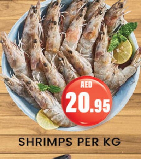 Fresh Fish in Zain Mart Supermarket, UAE Offers - United Arab Emirates available at Zain Mart Supermarket in UAE - Ras al Khaimah