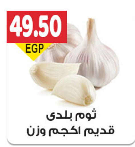 Fresh Vegetables in El Gizawy Market , Egypt Offers - Egypt Garlic available at El Gizawy Market in Egypt - Cairo