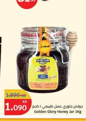 Honey available at City Hypermarket in Kuwait - Jahra Governorate