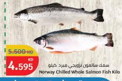 available at City Hypermarket in Kuwait - Ahmadi Governorate
