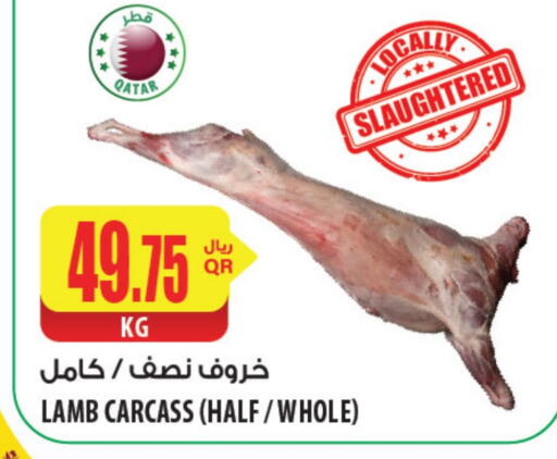 لحم الضأن / الغنم available at شركة الميرة للمواد الاستهلاكية in قطر - الضعاين