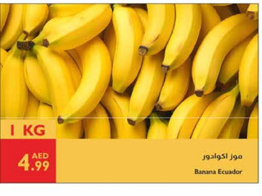 Banana from Ecuador available at Istanbul Supermarket in UAE - Dubai