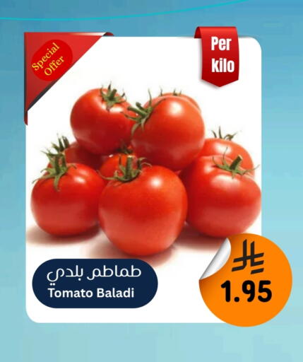 Tomato available at Surat Jeddah Markets in KSA, Saudi Arabia, Saudi - Jeddah