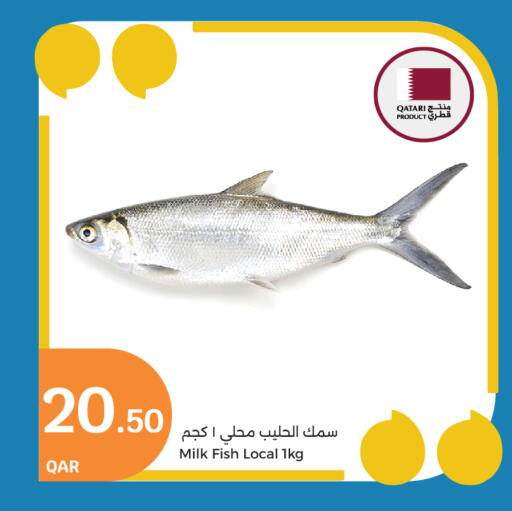 available at City Hypermarket in Qatar - Al Wakra