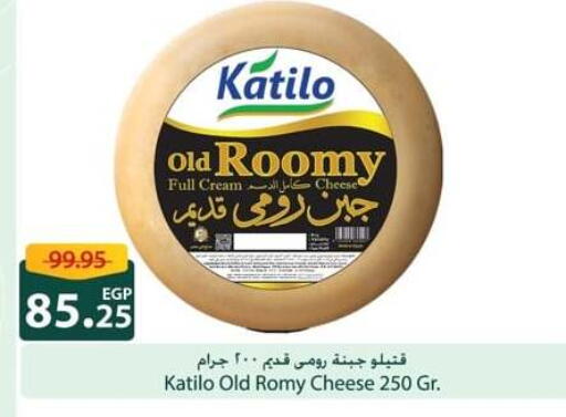 كتيلو جبنة كريمية available at سبينس in Egypt - القاهرة