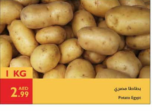 Potato from Egypt available at Istanbul Supermarket in UAE - Abu Dhabi