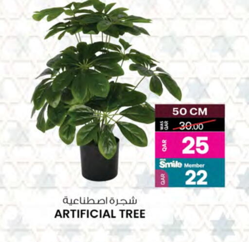الأساسيات المنزلية in أنصار جاليري, قطر Offers - قطر available at أنصار جاليري in قطر - الضعاين