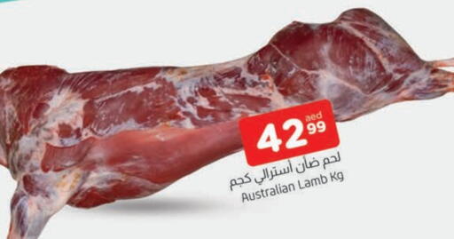 لحم الضأن / الغنم available at المدينة in الإمارات العربية المتحدة , الامارات - الشارقة / عجمان