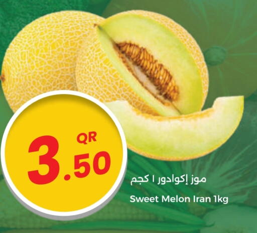 Sweet melon from Iran available at Ahla Mart in Qatar - Al Wakra