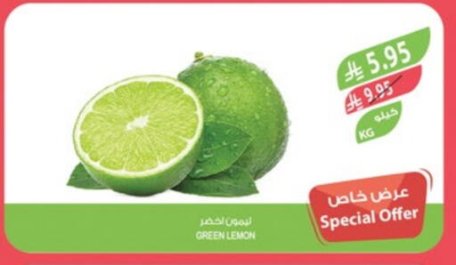 Fresh Fruits in Farm , Saudi Arabia Offers - Saudi Arabia Lemon available at Farm in KSA, Saudi Arabia, Saudi - Qatif