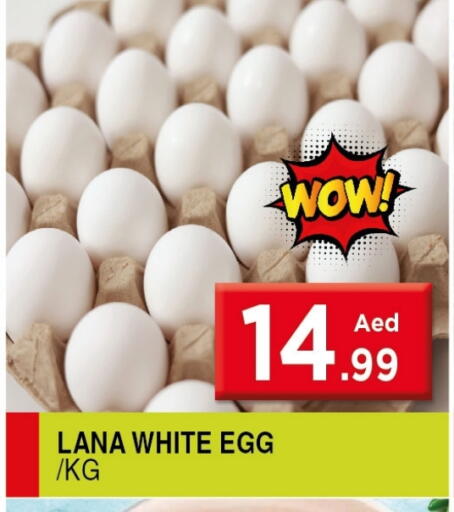 available at Ain Al Madina Hypermarket in UAE - Sharjah / Ajman