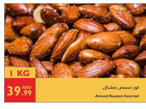 available at إسطنبول سوبرماركت in الإمارات العربية المتحدة , الامارات - أبو ظبي