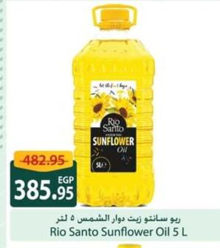Sunflower Oil available at Spinneys  in Egypt - Cairo