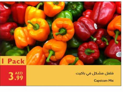 Chilli / Capsicum available at Istanbul Supermarket in UAE - Al Ain