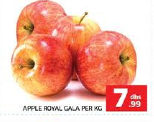 Apple available at Seven Emirates Supermarket in UAE - Abu Dhabi