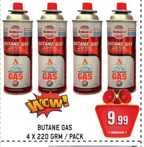 Outdoors & Garden in GIFT MART- Sharjah, UAE Offers - United Arab Emirates available at GIFT MART- Sharjah in UAE - Sharjah / Ajman