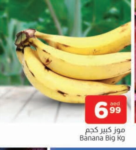 موز available at المدينة in الإمارات العربية المتحدة , الامارات - الشارقة / عجمان
