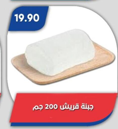 available at باسم ماركت in Egypt - القاهرة
