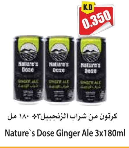 Ginger available at 4 SaveMart in Kuwait - Kuwait City