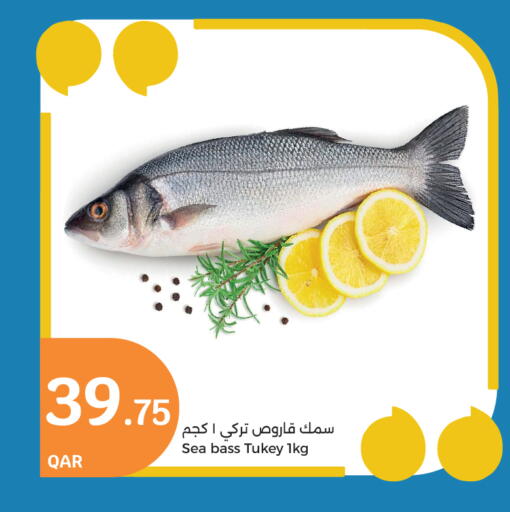available at City Hypermarket in Qatar - Doha