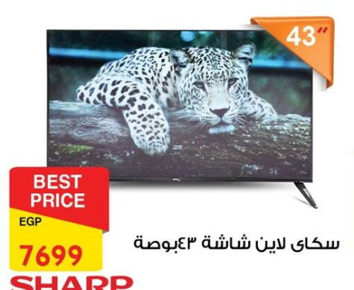 شارب تلفاز ذكي available at فتح الله in Egypt - القاهرة