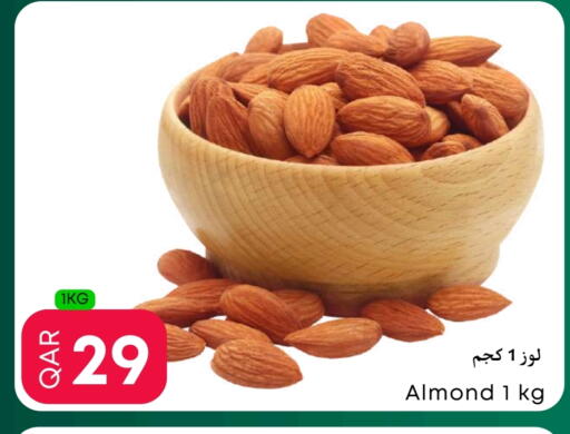 available at عالم الأغدية in قطر - الوكرة