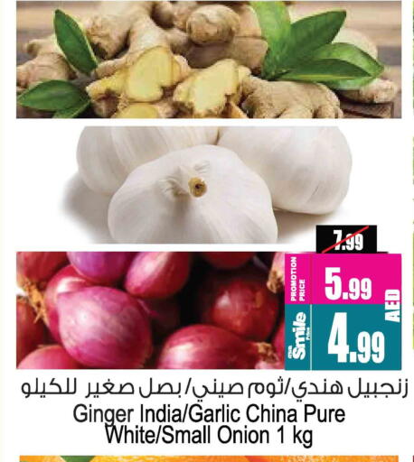 ثوم from India China available at أنصار مول in الإمارات العربية المتحدة , الامارات - الشارقة / عجمان