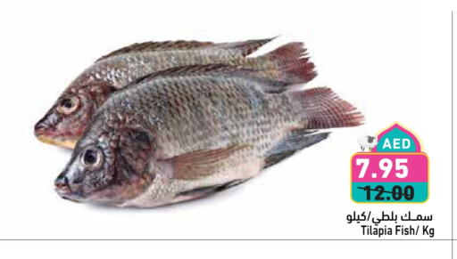 Fresh Fish in Aswaq Ramez, UAE Offers - United Arab Emirates available at Aswaq Ramez in UAE - Ras al Khaimah