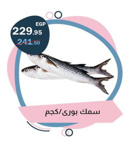 available at فلامنجو هايبرماركت in Egypt - القاهرة