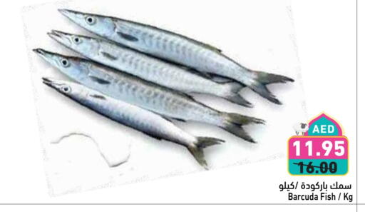 Fresh Fish in Aswaq Ramez, UAE Offers - United Arab Emirates available at Aswaq Ramez in UAE - Ras al Khaimah
